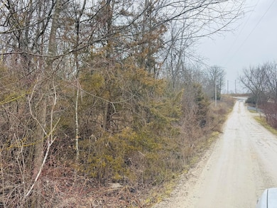 000 Primrose Ln, Clever, MO 65631 - photo 3