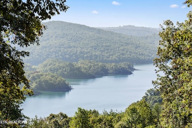 310 Lakeview Dr, Sharps Chapel, TN 37866 - photo 3