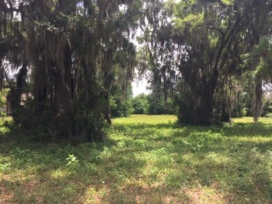 Lot 50 Cooper's Point Dr, Shellman Bluff, GA 31331 - photo 4