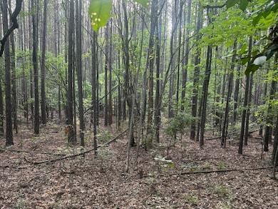 0 Columbia 17 unit 11529024, Stamps, AR 71860 - photo 5