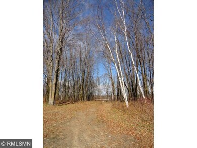 woods surrounding driveway