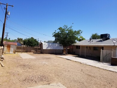 back yard 8