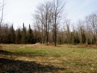 Property view with trees