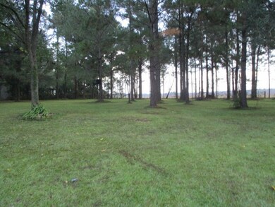 8364 Hodges Rd, Pavo, GA 31778 - photo 6