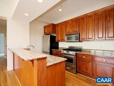 112 5th St SE unit 3B, Charlottesville, VA 22902 - photo 4