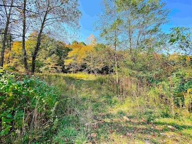 Lot 2 Blizzards Gate Rd, Harman, WV 26270 - photo 2