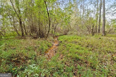61 ACRES Barnesville Hwy, the Rock, GA 30285 - photo 5