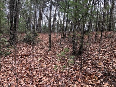 Lot 230 Deer Run, Purlear, NC 28665 - photo 5