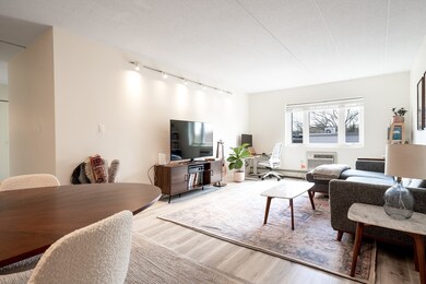 278 Beacon St unit 36, Somerville, MA 02143 - photo 2