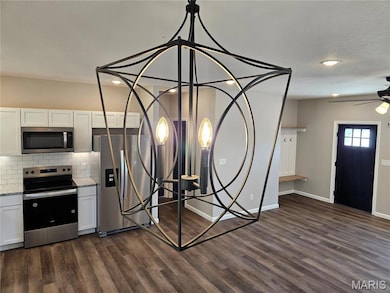 Detailed view of appliances with stainless steel finishes, white cabinets, decorative backsplash, dark wood finished floors, and recessed lighting