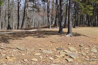 21360 Griffith Rd, Logan, OH 43138 - photo 3