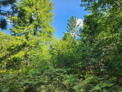 Par 1 Wilderness Trail, Peacock Township, MI 49656 - photo 3