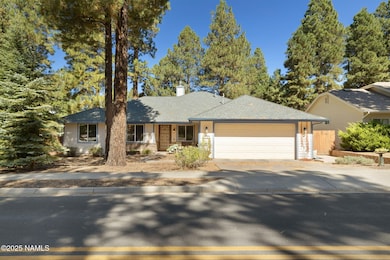 7-web-or-mls-FA9A9733