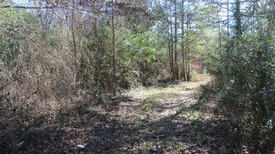 TBD C R 3257, Garrison, TX 75946 - photo 2