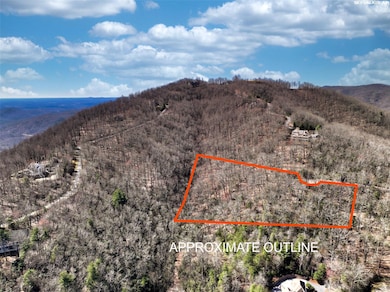 4.17 Acres Spruce Ln unit 28, Zirconia, NC 28790 - photo 5