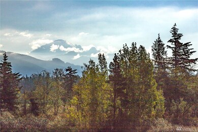 6430 Everson Goshen Rd, Everson, WA 98247 - photo 7