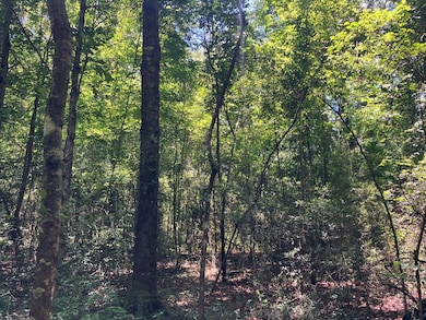 0 Mississippi 48, Tylertown, MS 39667 - photo 7