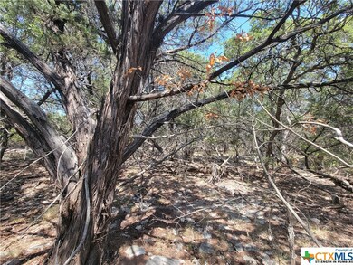 15969 Salado Dr, Temple, TX 76502 - photo 4