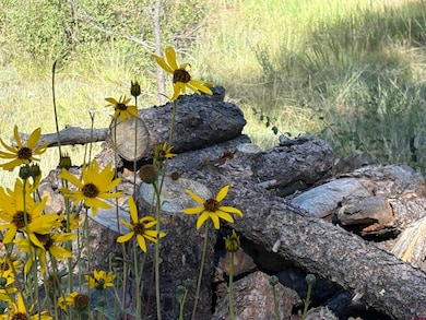 599 Pineview Rd, Pagosa Springs, CO 81147 - photo 4