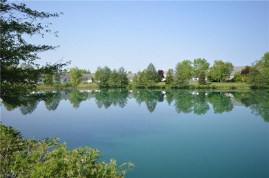 Common pond in the backyard....wouldn't you love t