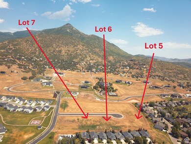 Aerial perspective of suburban area with mountains