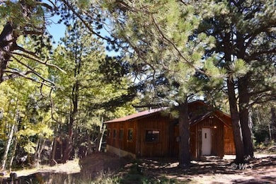 370 Road 182w, Westcliffe, CO 81252 - photo 5