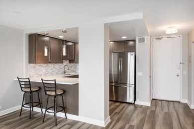 Edgewater Plaza Condominiums unit 2708, Chicago, IL 60640 - photo 5