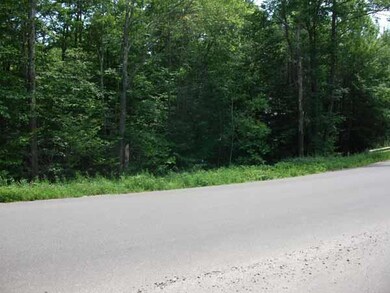 000000 Griffin Rd, Levant, ME 04345 - photo 5