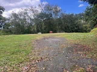 Calle Juan Ramos Bo Guaraguao, Guaynabo, PR 00969 - photo 6