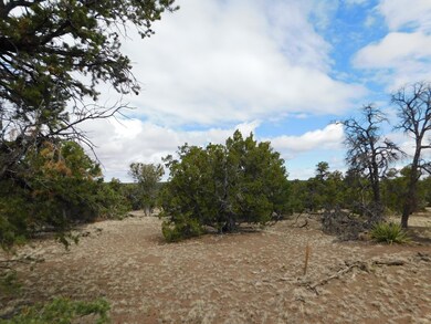 174 Agua Fria Loop, Quemado, NM 87829 - photo 4