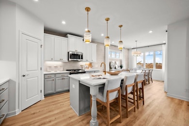 15465 112th Ave N, Maple Grove, MN 55369 - photo 2