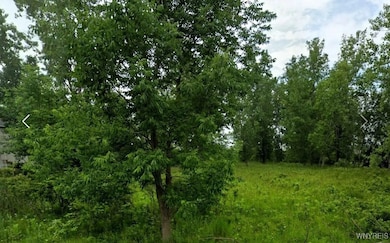 445 Seneca Creek Rd, Buffalo, NY 14224 - photo 2