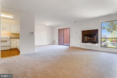 3919 El Camino Place unit 30, Alexandria, VA 22309 - photo 6