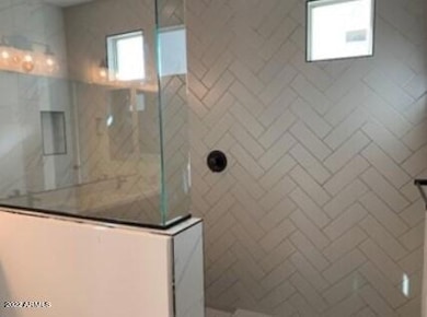 Owner's Super Shower