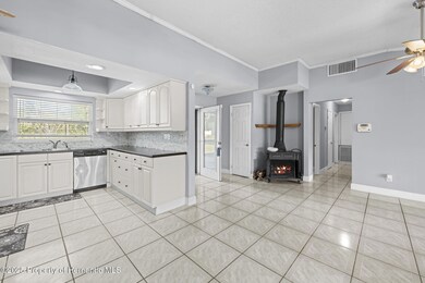 20228 County Line Rd, Lutz, FL 33558 - photo 6