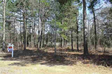 3045 Stonegate Blvd, Tyler, TX 75703 - photo 2