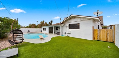 Backyard4