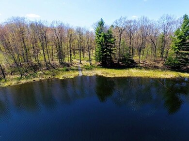 W14853 Hungry Lake Rd, Chetek, WI 54728 - photo 5