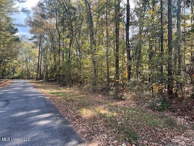 0 Pelahatchie Rd unit 4132538, Pelahatchie, MS 39145 - photo 5