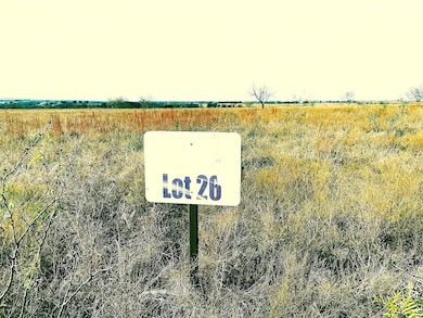 2335 County Road 619, Pottsville, TX 76565 - photo 2