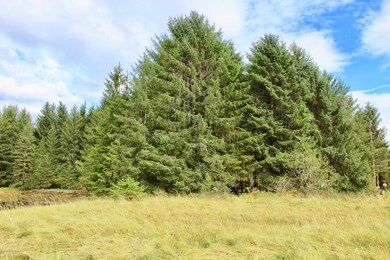 4 Chilkat Rd, Remote, AK 99921 - photo 7