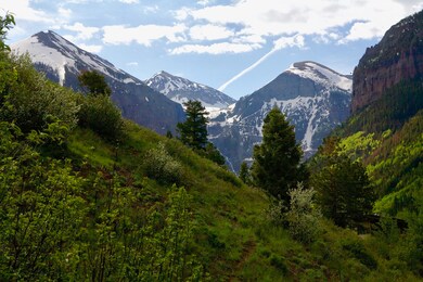 IMG_6041