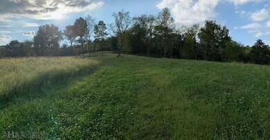 561 Pensyl Hollow Rd, Bedford, PA 15522 - photo 4