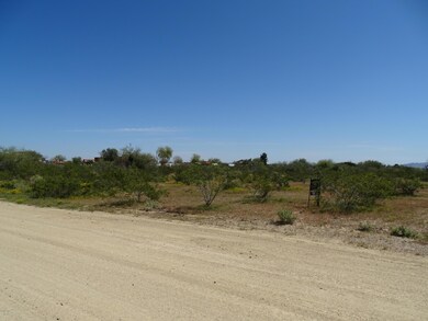 DSC02332