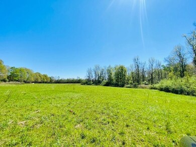 000 S Mary Topps Rd, Franklinton, LA 70438 - photo 6