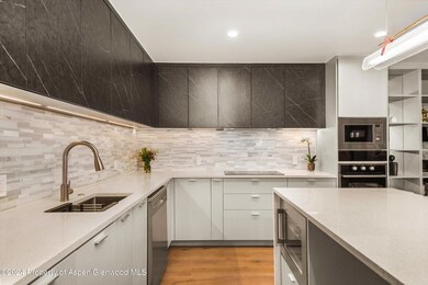 790 W Hallam St unit 2, Aspen, CO 81611 - photo 4