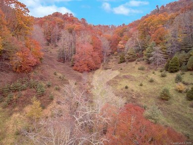 0 Duncan Rd, Jacks Creek, NC 28714 - photo 3