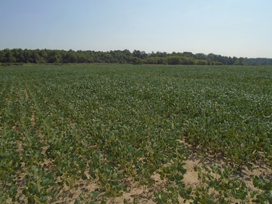 000 Estill Baker Rd, Hanson, KY 42413 - photo 5