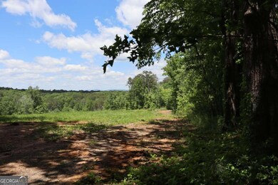 0 Parksbrook Road A unit 10302393, Ellijay, GA 30143 - photo 7