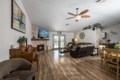 cat-living-room-6a9646